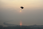 IIP Online Student Photography